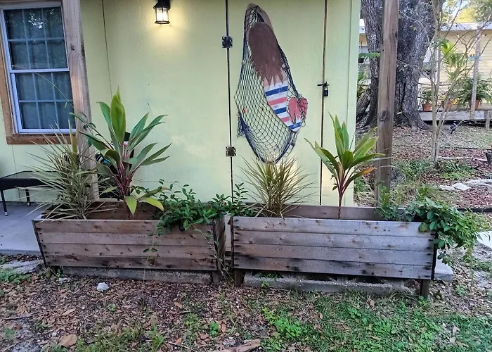 The Lemon Zest Paws Welcome * Pensacola