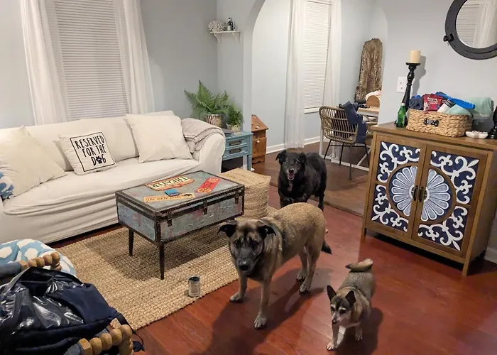 The Lemon Zest Paws Welcome Pensacola