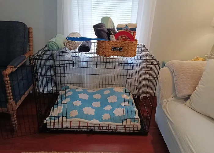 The Lemon Zest Paws Welcome Holiday home